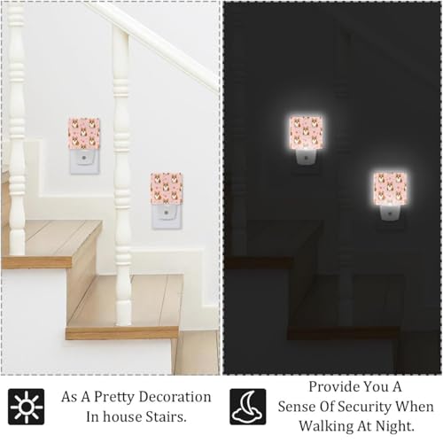 Lámparas de noche LED para enchufe 2 unidades miniatura 6
