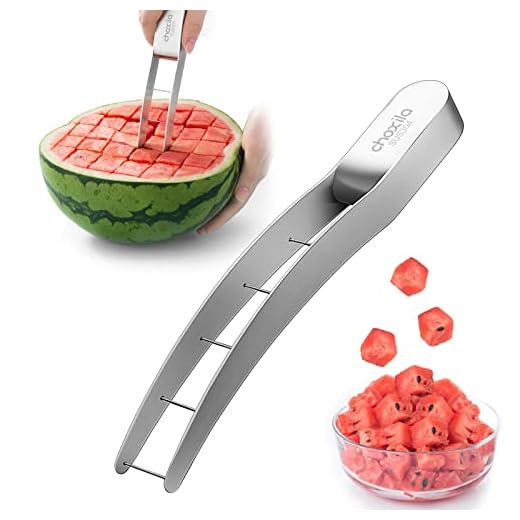 41JpmwZCUsL._SS520_ Best watermelon slicer