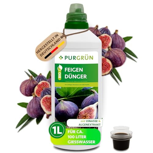 Purgrün Bio-Feigendünger 1 Liter Schnelles gesundes Wachstum Mit Algenextrakt & Vinasse Extra Kalium für saftige & süße Feigen Für den Bio-Anbau Konzentrat für 100 Liter Gießwasser