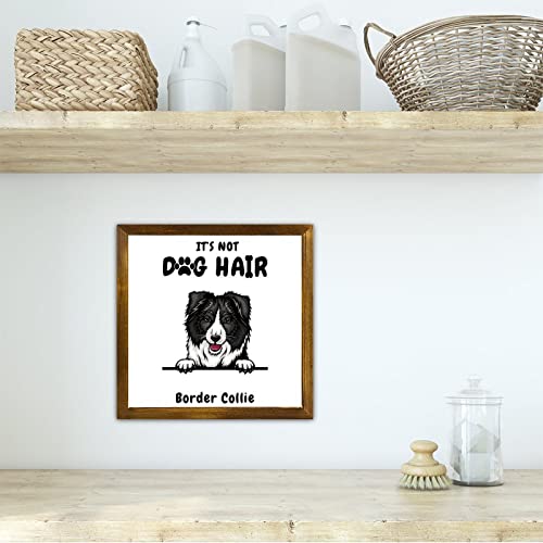 Panneau en bois Border Collie pour décoration murale rustique de salon - 4