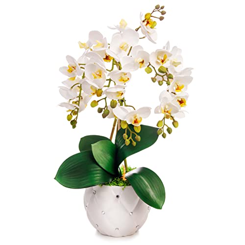 First Polska Künstliche Orchideen Gesteck Topfpflanze Fensterschmuck Gewebeblume Glamour Übertopf Gelb/Weiß Cover