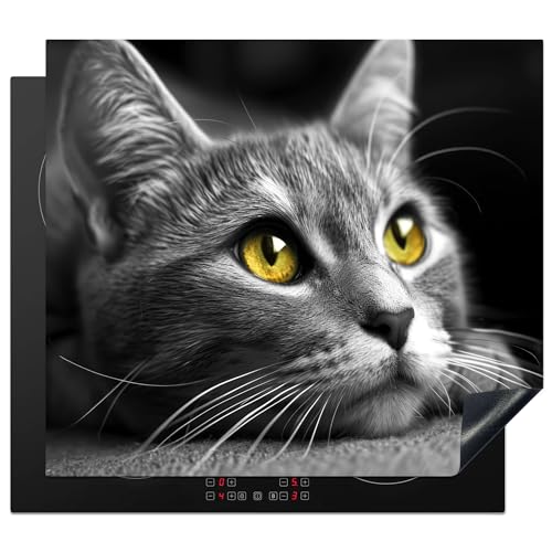 KitchenYeah© Protège Plaque Induction 59x52 cm Décoration Cuisine Protection Pour Plan De...