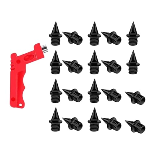 CAQYPVH 20̃gbNV[YXpCNAZp`tpXpCN, 