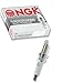 NGK 90318 ZFR6U-9 Spark Plug (Pack of 1)