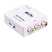 AV to HDMI, GANA 1080P Mini RCA Composite CVBS AV to HDMI Video Audio Converter Adapter Supporting PAL/NTSC with USB Charge Cable for PC Laptop Xbox PS4 PS3 TV STB VHS VCR Camera DVD