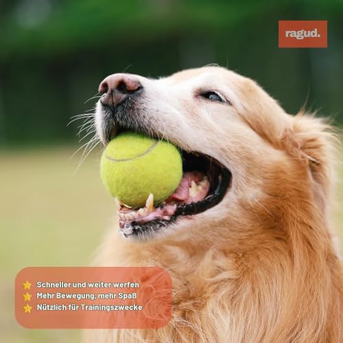 Ballwerfer Für Hunde - Hundespielzeug Set Mit 3 Bälle, Blau, 36 cm Lang. Praktisch und Hygienisch. Ballschleuder Für Hunde - Wurfspielzeug Zum Einfachen Apportieren Und Werfen Von Bällen (Kleine)
