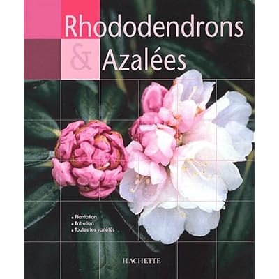 Rhododendrons Et Azalees