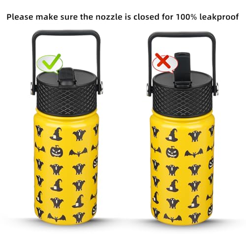 Image of BJPKPK Insulated Water Bottle, 15oz Stainless Steel with Straw Lid