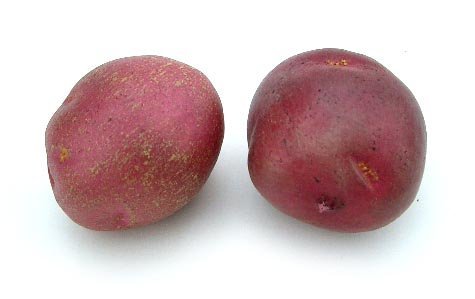 BIC Artificial Small Red Potato - Single