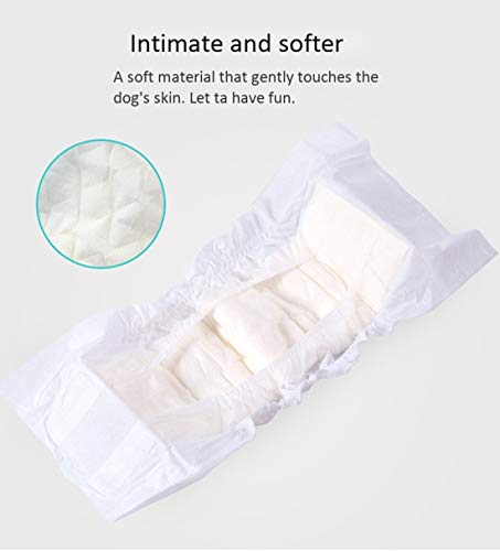 Couches jetables pour animaux de compagnie mâles avec absorption - 4
