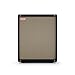 Positive Grid Spark CAB Powered Guitar Amp Speaker Cabinet for Spark Series Amps, Multiple Instruments, Modelers, and More