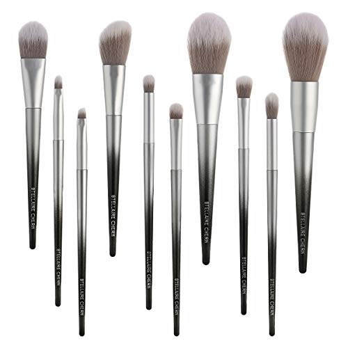 Stellaire Chern Makeup Brush Set, 10 Pcs Premium Synthetic Cosmetic Brushes, Foundation Blending Blush Powder Eye Shadow Make Up Brushes Kit - White & Black