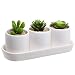 White Ceramic Contemporary Design Succulent Plant Holder Display Set w/ 3 Pots & 1 Water Draining Tray