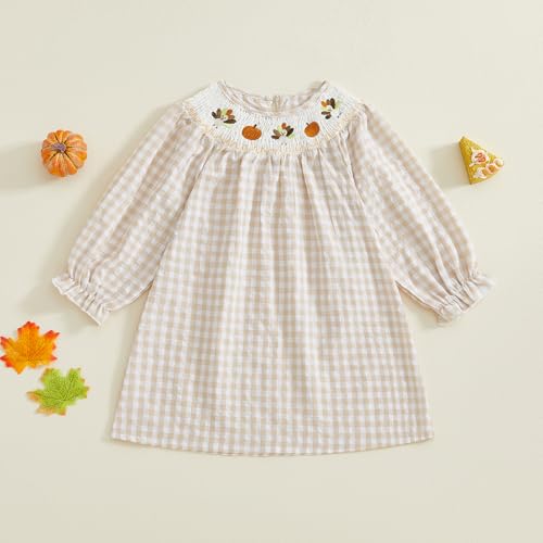 Toddler Baby Girl Thanksgiving Dress Plaid Turkey Embroidery Long Sleeve Smocked Dress Fall Photoshoot Clothes2