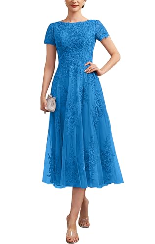 Mother of The Bride Dresses for Wedding Tea-Length Tulle Lace Dresses for Women Formal ZXF015