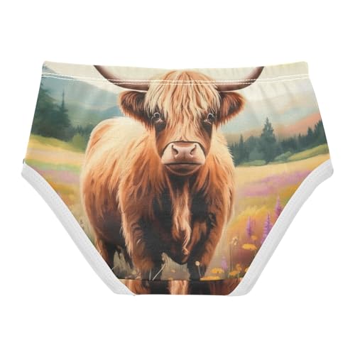 Brown Highland Cow Girl Panties Cute Toddler Girls Underwear Cotton Fun Underpants Briefs 2t2
