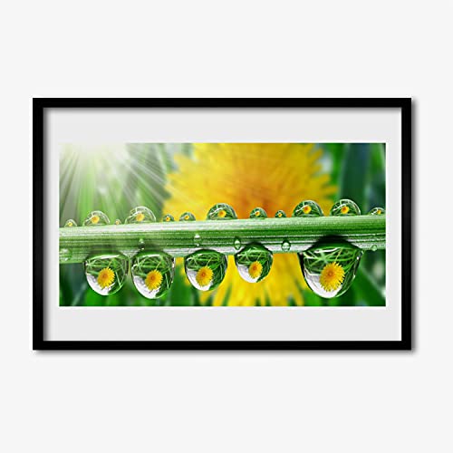 Affiche encadrée Tulup 60x40 cm roseau nature pour déco salon et chambre