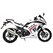 X-PRO Roadster 250 EFI Fuel Injection 6 Speed 250cc Dirt Bike Motorcycle Bike Street Bike Motorcycle Assembled in Crate (White)