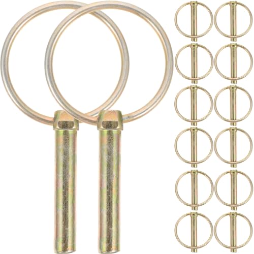 LIFKOME 16 gN^[p`sOt ϋvS  g[[בŒ蕔i _@gbNŊ@Ή