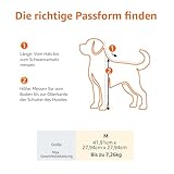 Amazon Basics AMZSC-002 Tragetasche für Hund Haustiere mit weichen Seiten, Größe M, Schwarz, 42 L x 24 W x 25 H cm