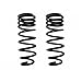 Icon 52800 Coil Spring, Rear