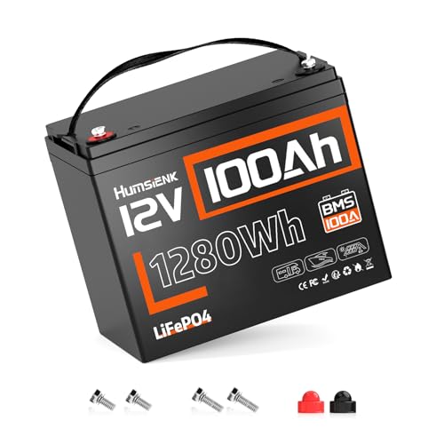 HumsiENK 12V 100Ah Group 24 Battery