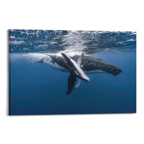 Poster rorqual ocean grand tableau sur toile chambre moderne 60x90