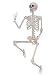 Sunstar Industries 5 Foot Life Size Pose & Hold Skeleton Halloween Decoration Prop