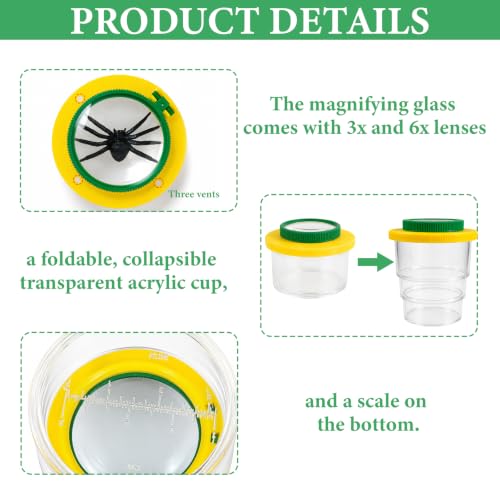 Lot de 4 kits insectes