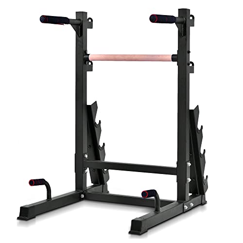 Squatz Multifunction Dip Rack Stand - Smart Workout Station With Weight Rack, Can Hold Up To 6 Dumbbells, Weatherproof Steel Body Gym With Multiple Strength Training Stations And Grip Positions #TOP12
