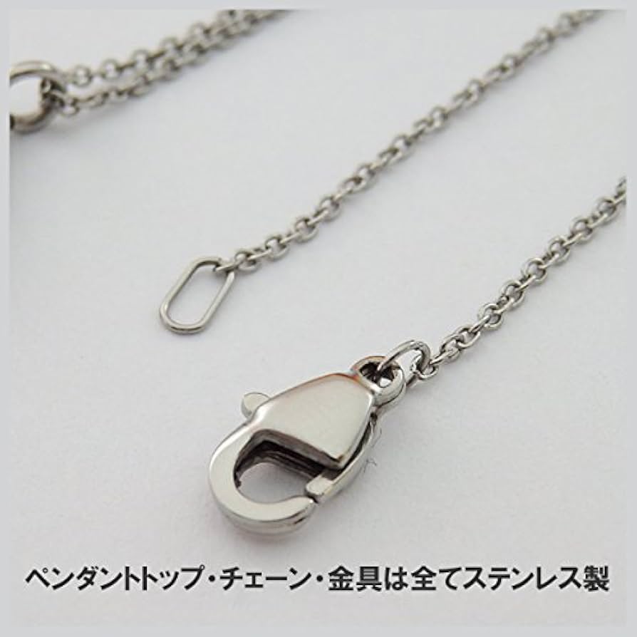 Amazon.co.jp: 遺骨ペンダント｜遺骨アクセサリー・手元供養品