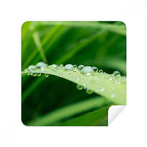 Tissu suede feuille verte pour essuyer lunettes et smartphone
