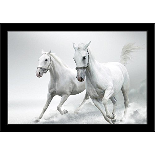 Image of ArtzFolio White Horses D2 | Paper Wall Poster Black Frame with Acrylic Glass | 13 x 9 inch (33 x 23 cms)
