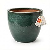 pot fraisier terre cuite pas cher ✨ Élément élégant : Que ce soit sur la terrasse, le balcon ou le salon - l'émail de haute qualité et la forme classique mettent habilement en valeur vos plantes. Un point fort durable pour votre maison.