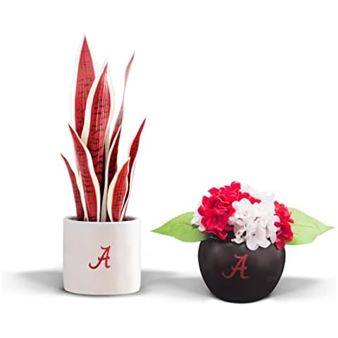 FOREVER LEAF Fan Favorite College University Fan Bundle - Artificial Snake Plant, Artificial Hydrangea Arrangement Cover