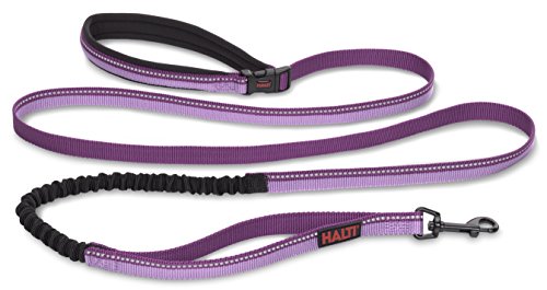 Image of HALTI Active Leash - Award-Winning Bungee Dog Leash, Shock-Absorbing, All-in-One Neoprene Padded Belt & Lead, Perfect for Running & Training with Small & Medium Dogs (Size Small, Purple) | Award-Winning Bungee Dog Leash | Shock-Absorbing Anti-Pull Leash | Padded Belt | Running & Training Small & Medium Dogs