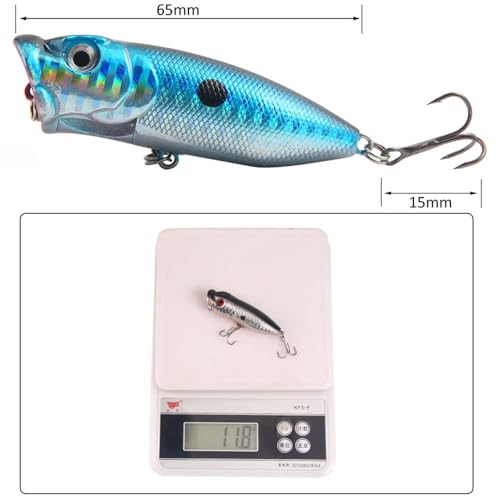 Xspring Balıkçılık Lures, 5 Adet Crank Yem Seti Lures, Yaşam Gibi Swimbait Balıkçılık Yem Popper Crankbait, Tatlı Su ve Tuzlu Su Alabalık Bas Somon Balıkçılık için Bas Lures