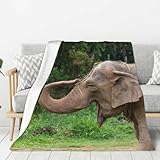 Manta de elefante asiático de 30 x 40 pulgadas, manta de felpa súper suave y acogedora para sofá cama, manta de franela ligera, mullida, cómoda, cálida y para uso en todas las estaciones