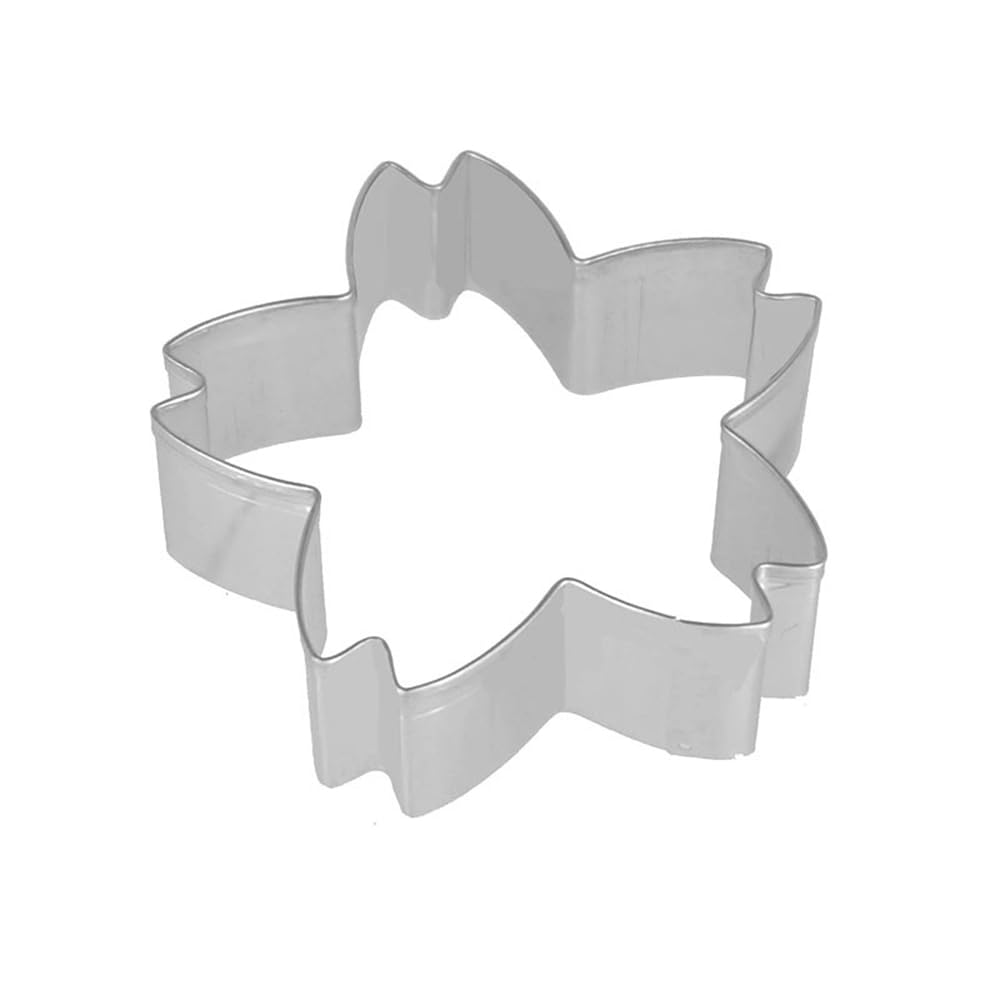 435647_6