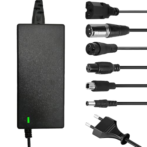 E Scooter Ladegeräte, 42V 2A Hoverboard Ladekabel, E Scooter Ladekabel mit 6 Anschlüssen und LED Anzeige, 36V Hoverboard Akku Ladegerät für Electric Scooters Xiaomi M365 Elektroroller Fahrrad