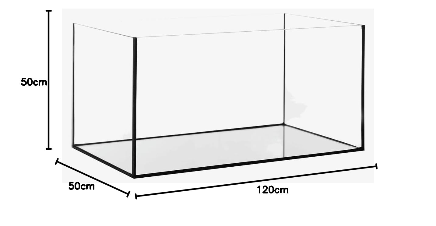 Diversa Aquarium Becken Aquarien rechteckig Aquariumbecken Standard Verschiedene Größen Glasbecken (120 x 50 x 50 cm / 8 mm Glas)