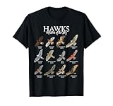 Various Falcons - Bird of Prey T-Shirt