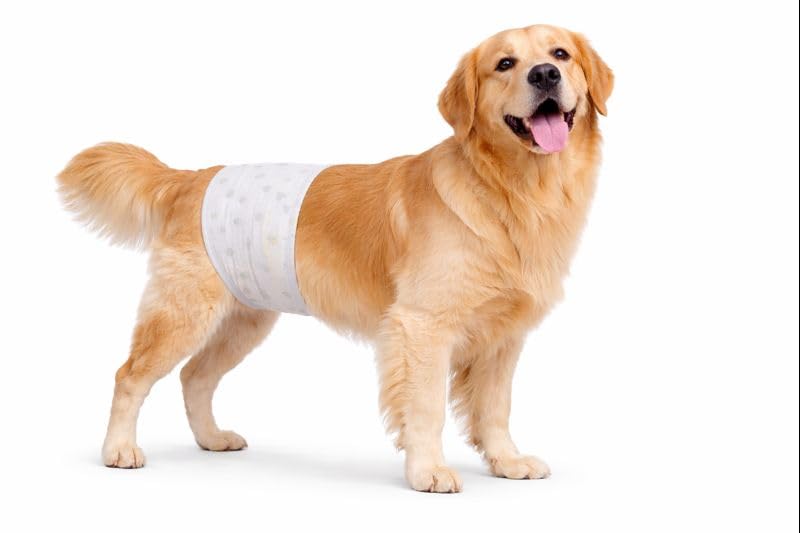 BLUESAKI HOME Disposable Dog Diapers – Male & Female Puppy Nappies, Super Absorbent Leak-Proof Pet Diapers, Breathable & Comfortable (S–XL) (GREEN, LARGE)