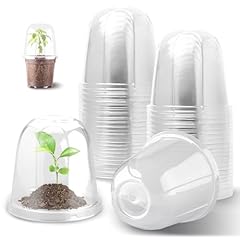 Clear Plant Pot Domes-30p