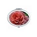 Green Leaves Pink Roses Art Deco Gift Fashion Mirror Portable Fold Hand Makeup Double Side Glasses