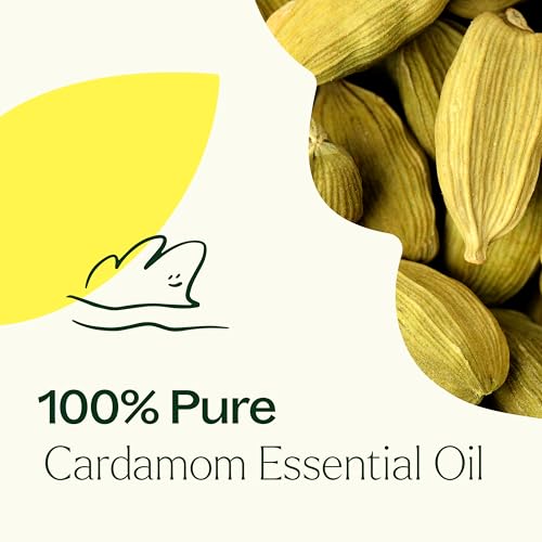 Aceite Esencial de Cardamomo 5 mL 100% Puro miniatura 5
