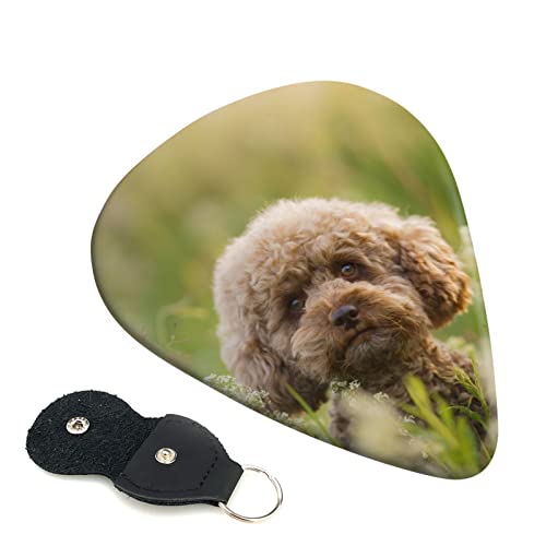 �M�^�[�s�b�N 6���Z�b�g 0.46mm 0.71mm 0.96mm �G���L�M�^�[ �x�[�X�p�s�b�N �E�N���� �M�^�[ ABS�f�� �G���N�g���b�N �A�R�[�X�e�B�b�N ���y�� ���S�� �g���C�A���O�� �s�b�N�i �Ő��ɂ���v�[�h�� �j