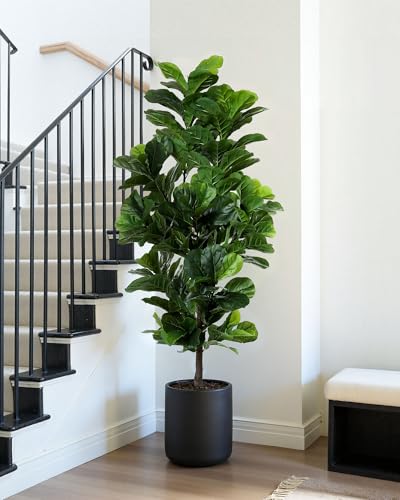 Fiddle Leaf Fig Tree 6ft Tall Artificial Tree in Plastic Pot Fake Ficus Lyrata Plants with 184 Decorative Fiddle Leaves Faux Fig Trees for Home Office Living Room Decor Indoor Outdoor - Image 3