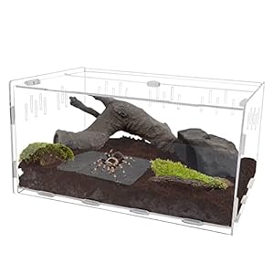 winemana Reptile Terrarium, Tarantula Enclosure, 16″ x 11″ x 6″ Acrylic Large Feeding Tarantula Habitat Box for Small Animals Insect Home Office