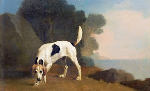 Tableau mural Foxhound sur le parfum George Stubbs affiche d'art 60x90